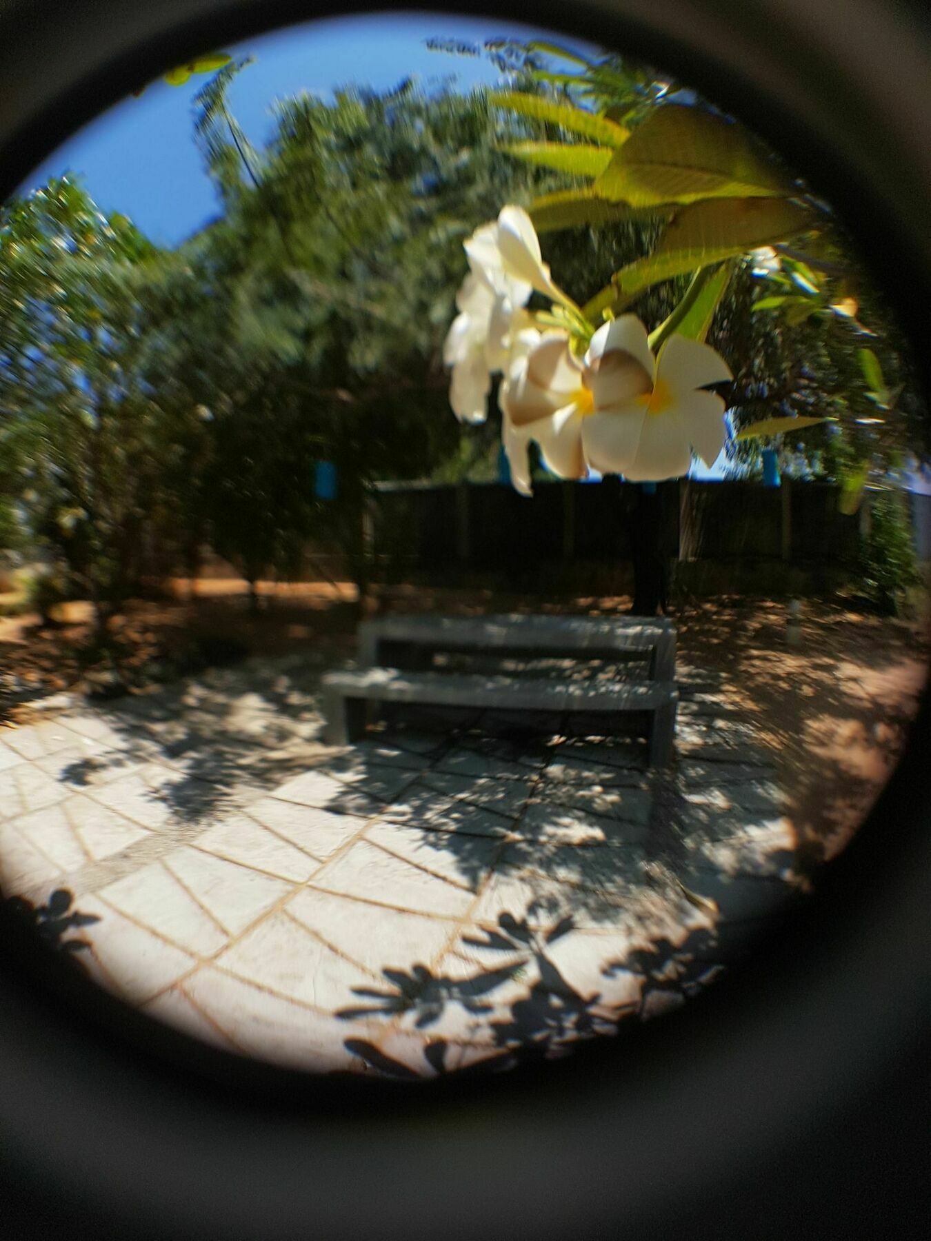 The Danish Villa Resort Arugam Bay Luaran gambar